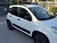 Usata Fiat Panda Cross Cross 69 CV (50 kW) 2021 Utilitaria