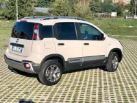 Usata Fiat Panda Cross Cross 95 CV (69 kW) 2017 Utilitaria