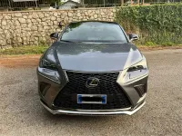 Usata Lexus NX300h Sport Line 155 CV (114 kW) 2019 Grigio SUV