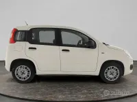 Usata Fiat Panda Easy 69 CV (50 kW) 2020 Bianco Utilitaria