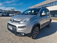 Usata Fiat Panda 4x4 S 95 CV (69 kW) 2017 Argento Utilitaria