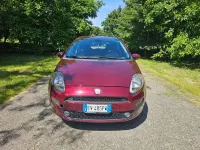 Usata Fiat Punto Lounge 77 CV (56 kW) 2014 Bordeaux Utilitaria