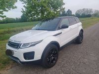 usata Land Rover Range Rover evoque Range Rover Evoque 2.0 eD4 5p. Pure