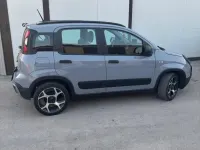 Usata Fiat Panda Cross Cross 69 CV (50 kW) 2020 Grigio Utilitaria
