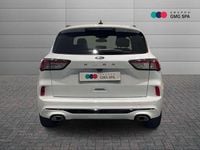 Usata Ford Kuga ST-Line X 120 CV (88 kW) 2020 Bianco SUV