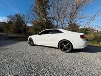 Usata Audi A5 170 CV (125 kW) 2010 Bianco Coupé