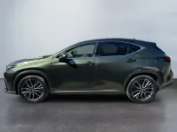Usata Lexus NX350h Luxury Line 243 CV (178 kW) 2022 Verde SUV