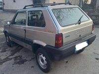 Usata Fiat Panda 4x4 Trekking 54 CV (39 kW) 1999 Argento Utilitaria