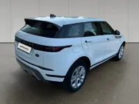 Usata Land Rover Range Rover evoque S 2020 Fuji white SUV