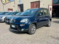 Usata Fiat Panda 4x4 S 95 CV (69 kW) 2018 Bluazzurro Utilitaria