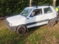 Usata Fiat Panda 4x4 Trekking 1995 Utilitaria