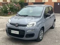 Usata Fiat Panda S 70 CV (51 kW) 2021 Grigio Utilitaria