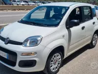 Usata Fiat Panda 69 CV (50 kW) 2019 Bianco Utilitaria
