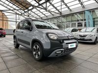 usata Fiat Panda Cross 1.0 FireFly 70cv S&S Hybrid City