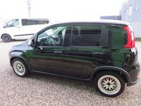 Usata Fiat Panda S 70 CV (51 kW) 2024 Nero Utilitaria