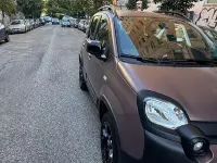 Usata Fiat Panda 4x4 S 86 CV (63 kW) 2020 Marrone Utilitaria