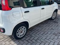 Usata Fiat Panda 2018 Bianco Berlina