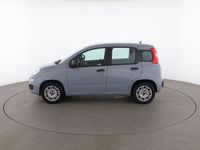 usata Fiat Panda 1.2 Easy