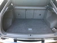 Usata Audi Q3 Business 150 CV (110 kW) 2019 SUV