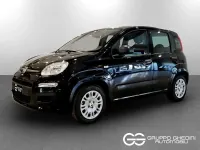 Nuova Fiat Panda Pop 65 CV (47 kW) 2026 Nero cinema pastello Utilitaria