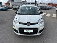 Usata Fiat Panda S 69 CV (50 kW) 2021 Bianco Utilitaria