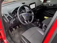 Usata Ford Ecosport 2019 SUV