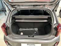 Usata Kia Picanto Urban 63 CV (46 kW) 2024 Other Utilitaria