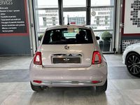 Usata Fiat 500 Star 69 CV (50 kW) 2020 Viola Berlina