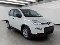 Usata Fiat Panda S 70 CV (51 kW) 2023 Bianco Utilitaria