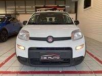 Usata Fiat Panda S 69 CV (50 kW) 2024 Bianco Utilitaria