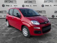 Nuova Fiat Panda Icon 69 CV (50 kW) 2025 Rosso Utilitaria
