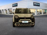 usata Fiat Panda Cross 1.0 FireFly 70cv S&S Hybrid