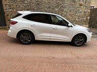 Usata Ford Kuga ST-Line 150 CV (110 kW) 2023 Bianco SUV