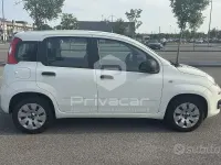 Usata Fiat Panda Pop 69 CV (50 kW) 2019 Bianco Utilitaria