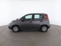 usata Fiat Panda 1.2 Easy