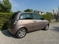 Usata Lancia Ypsilon 75 CV (55 kW) 2011 Viola Utilitaria