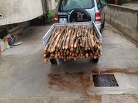 Usata Mitsubishi Pajero 2004 Grigio SUV