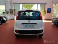 Usata Fiat Panda Easy 69 CV (50 kW) 2017 Bianco Utilitaria