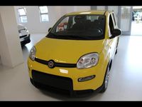 Usata Fiat Panda S 70 CV (51 kW) 2024 Giallo Utilitaria