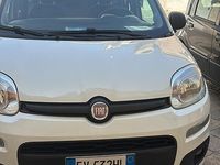Usata Fiat Panda 70 CV (51 kW) 2014 Bianco Utilitaria