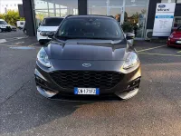 Usata Ford Kuga ST-Line 225 CV (165 kW) 2023 Grigio SUV