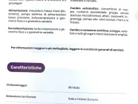 Usata Lancia Ypsilon S 69 CV (50 kW) 2014 Utilitaria