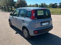Usata Fiat Panda 70 CV (51 kW) 2020 Utilitaria