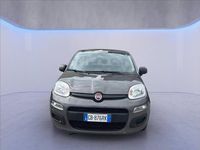 Usata Fiat Panda Easy 70 CV (51 kW) 2020 Nero metallizzato Utilitaria