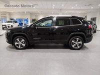 usata Jeep Cherokee 2.2 mjt Limited 4wd active drive I auto