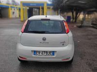Usata Fiat Punto Easy 75 CV (55 kW) 2014 Utilitaria