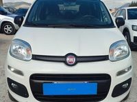 Usata Fiat Panda 4x4 S 95 CV (69 kW) 2016 Bianco pastello Utilitaria