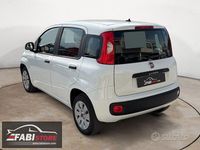 Usata Fiat Panda Easy 69 CV (50 kW) 2020 Bianco Utilitaria