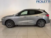 Usata Ford Kuga ST-Line 190 CV (139 kW) 2023 Argento SUV
