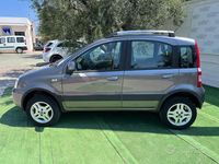 Usata Fiat Panda 4x4 Climbing 75 CV (55 kW) 2012 Grigio Utilitaria